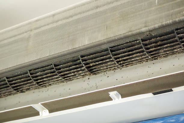 Best Best Air Duct Cleaning Company  in Indian Springs, GA